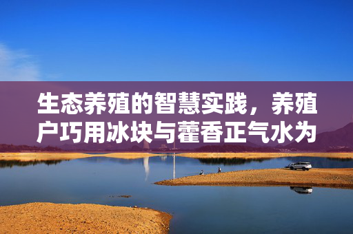 生态养殖的智慧实践，养殖户巧用冰块与藿香正气水为鱼池降温