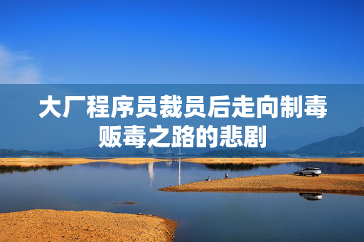 大厂程序员裁员后走向制毒贩毒之路的悲剧
