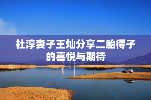 杜淳妻子王灿分享二胎得子的喜悦与期待