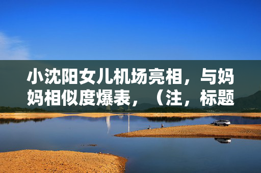 小沈阳女儿机场亮相，与妈妈相似度爆表，（注，标题中的记实一词被省略了，因为标题需要简洁明了，省略后更符合常见的标题风格。）