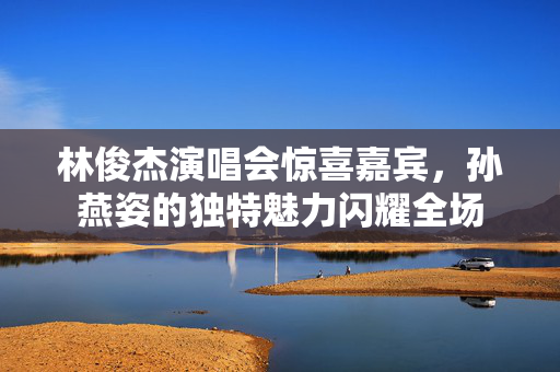 林俊杰演唱会惊喜嘉宾，孙燕姿的独特魅力闪耀全场