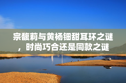 宗馥莉与黄杨钿甜耳环之谜，时尚巧合还是同款之谜