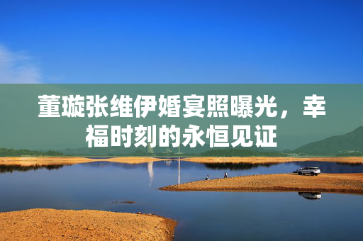 董璇张维伊婚宴照曝光，幸福时刻的永恒见证