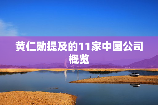 黄仁勋提及的11家中国公司概览