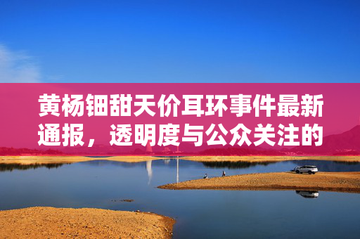 黄杨钿甜天价耳环事件最新通报，透明度与公众关注的双向探讨