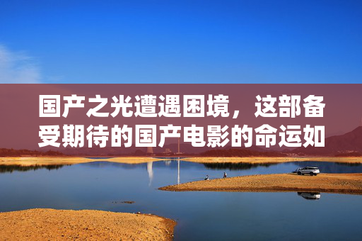 国产之光遭遇困境，这部备受期待的国产电影的命运如何？