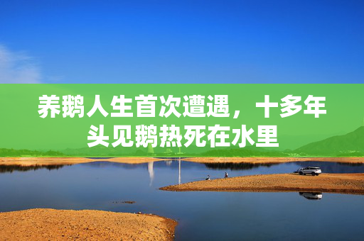 养鹅人生首次遭遇，十多年头见鹅热死在水里