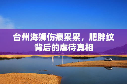 台州海狮伤痕累累，肥胖纹背后的虐待真相