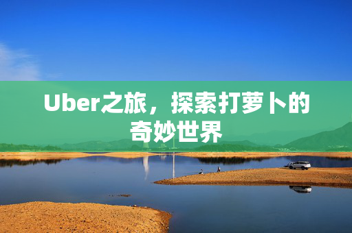 Uber之旅，探索打萝卜的奇妙世界