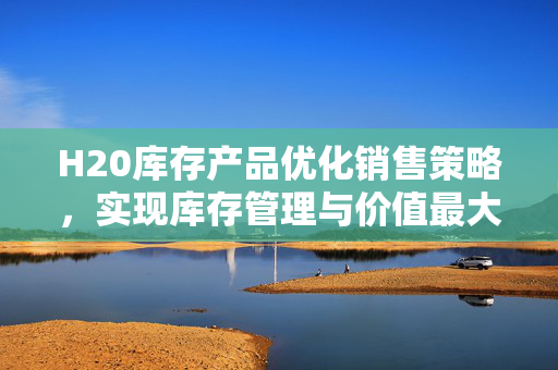 H20库存产品优化销售策略，实现库存管理与价值最大化的双赢方案