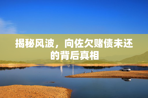 揭秘风波，向佐欠赌债未还的背后真相