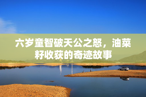 六岁童智破天公之怒，油菜籽收获的奇迹故事