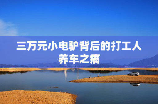 三万元小电驴背后的打工人养车之痛