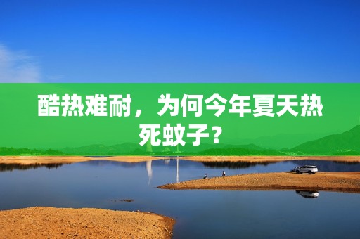 酷热难耐，为何今年夏天热死蚊子？
