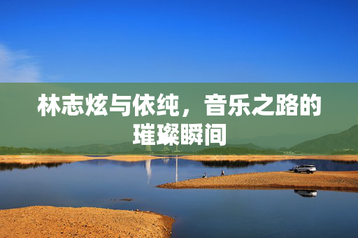 林志炫与依纯，音乐之路的璀璨瞬间