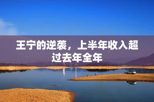 王宁的逆袭，上半年收入超过去年全年