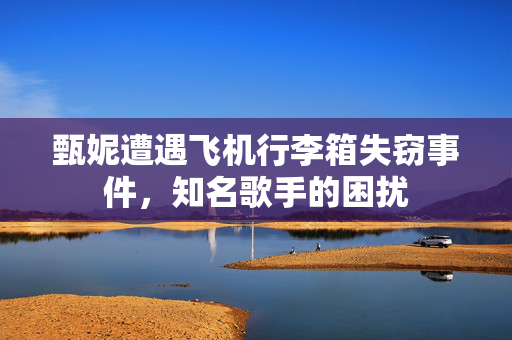 甄妮遭遇飞机行李箱失窃事件，知名歌手的困扰