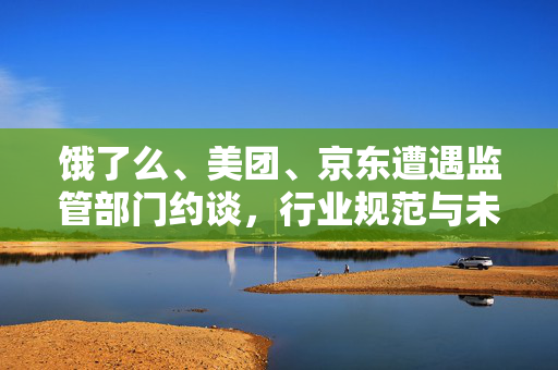 饿了么、美团、京东遭遇监管部门约谈，行业规范与未来展望