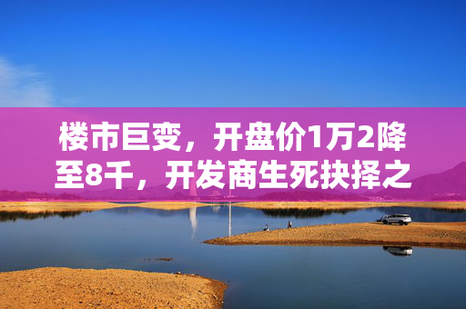楼市巨变，开盘价1万2降至8千，开发商生死抉择之际的楼市风云