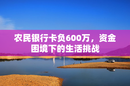 农民银行卡负600万，资金困境下的生活挑战