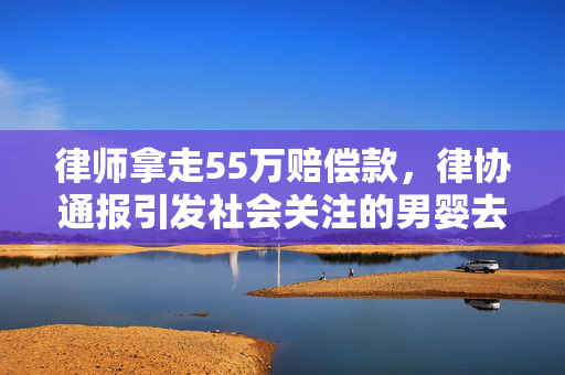 律师拿走55万赔偿款，律协通报引发社会关注的男婴去世事件