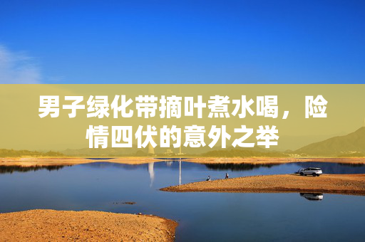 男子绿化带摘叶煮水喝，险情四伏的意外之举