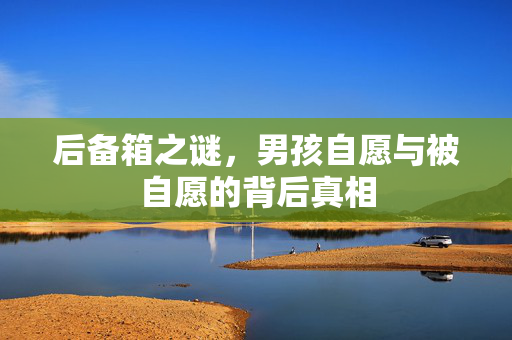 后备箱之谜，男孩自愿与被自愿的背后真相