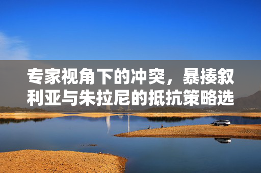 专家视角下的冲突，暴揍叙利亚与朱拉尼的抵抗策略选择