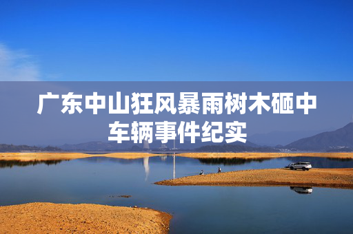 广东中山狂风暴雨树木砸中车辆事件纪实