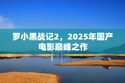 罗小黑战记2，2025年国产电影巅峰之作