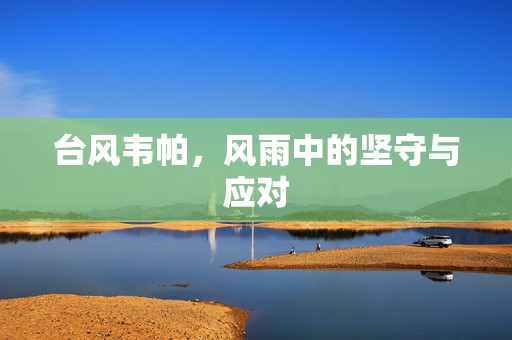 台风韦帕，风雨中的坚守与应对