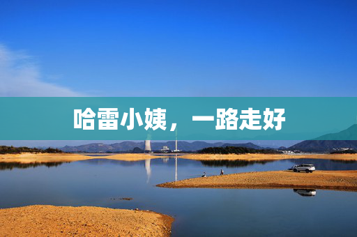 哈雷小姨，一路走好