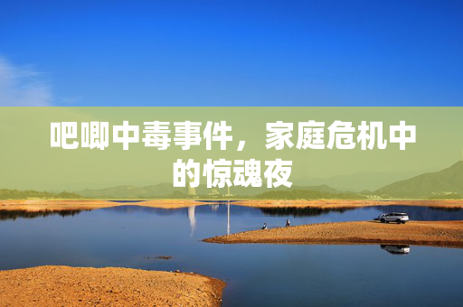 吧唧中毒事件，家庭危机中的惊魂夜