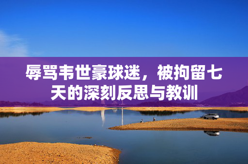 辱骂韦世豪球迷，被拘留七天的深刻反思与教训