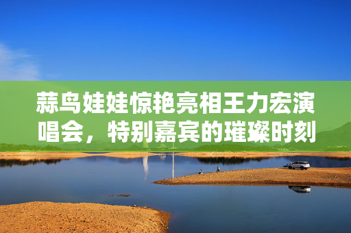 蒜鸟娃娃惊艳亮相王力宏演唱会，特别嘉宾的璀璨时刻