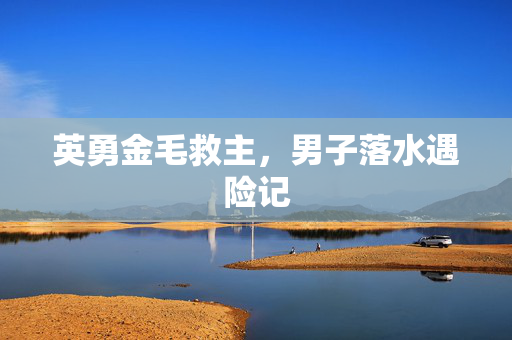 英勇金毛救主，男子落水遇险记