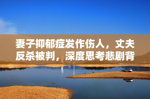 妻子抑郁症发作伤人，丈夫反杀被判，深度思考悲剧背后的责任与挑战