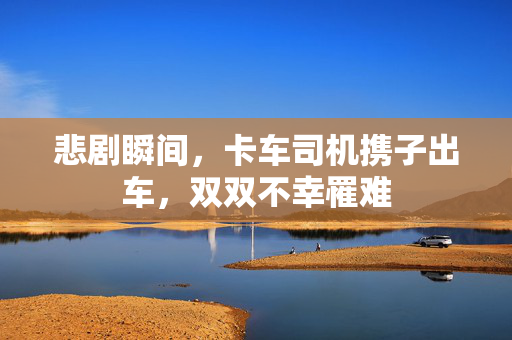 悲剧瞬间，卡车司机携子出车，双双不幸罹难