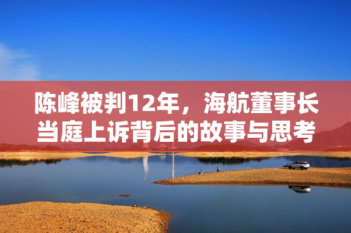 陈峰被判12年，海航董事长当庭上诉背后的故事与思考