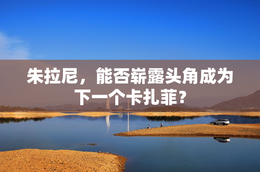 朱拉尼，能否崭露头角成为下一个卡扎菲？
