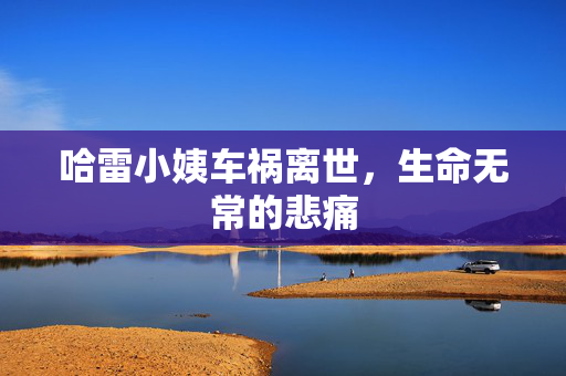 哈雷小姨车祸离世，生命无常的悲痛