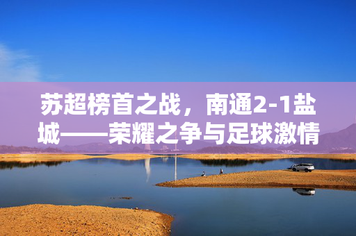 苏超榜首之战，南通2-1盐城——荣耀之争与足球激情的碰撞