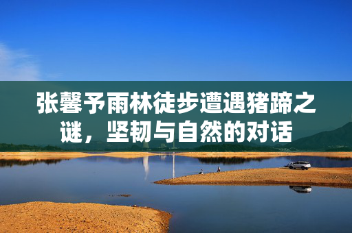 张馨予雨林徒步遭遇猪蹄之谜，坚韧与自然的对话