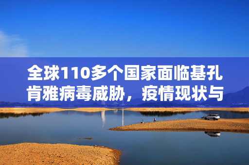 全球110多个国家面临基孔肯雅病毒威胁，疫情现状与防控策略