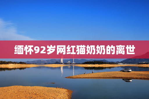 缅怀92岁网红猫奶奶的离世