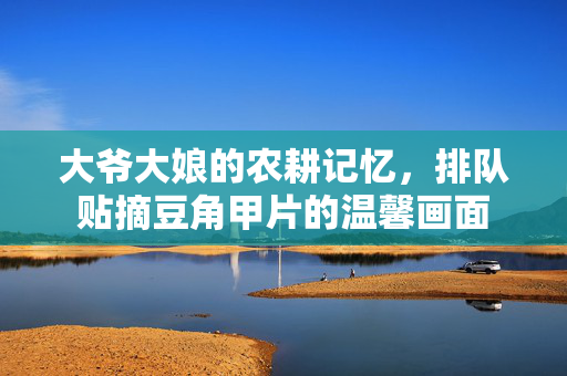 大爷大娘的农耕记忆，排队贴摘豆角甲片的温馨画面
