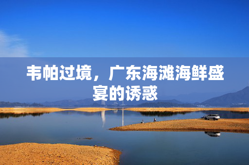 韦帕过境，广东海滩海鲜盛宴的诱惑