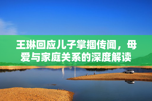 王琳回应儿子掌掴传闻，母爱与家庭关系的深度解读