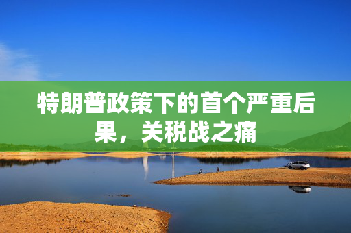 特朗普政策下的首个严重后果，关税战之痛