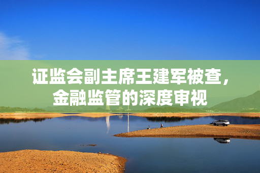 证监会副主席王建军被查，金融监管的深度审视